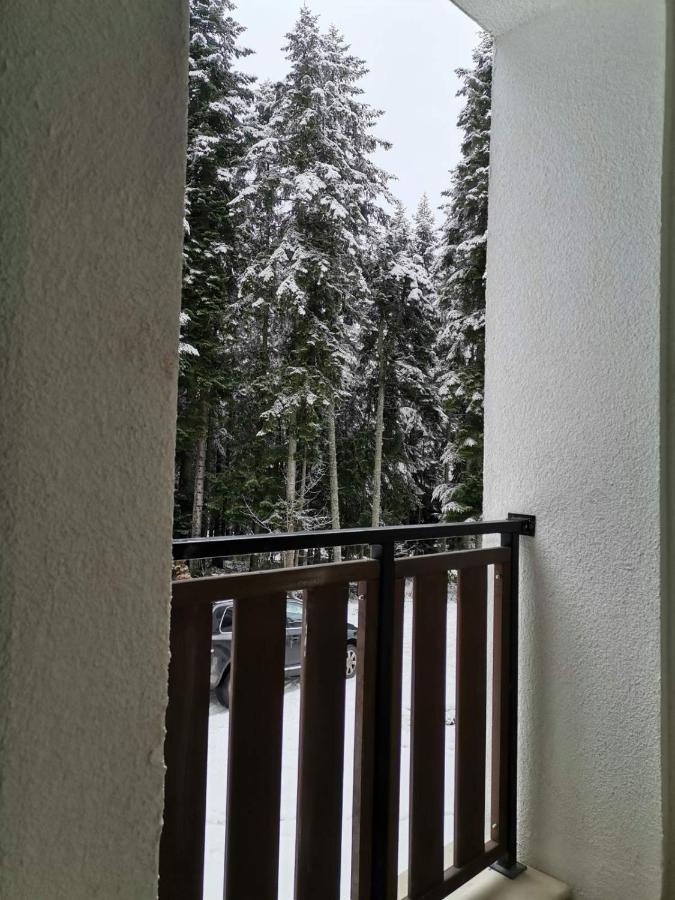 Studio A3 Borovets Gardens Εξωτερικό φωτογραφία