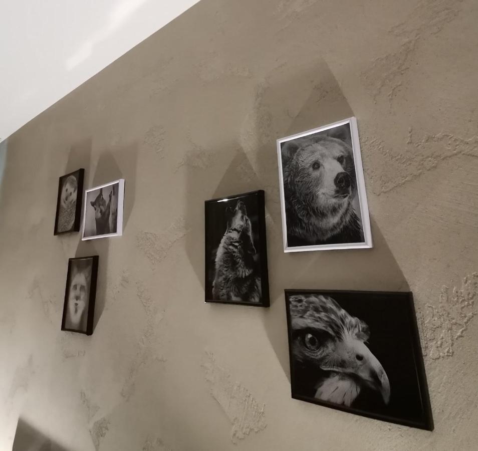 Studio A3 Borovets Gardens Εξωτερικό φωτογραφία